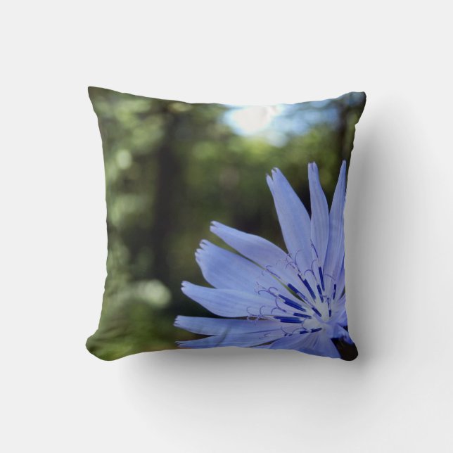 Common Chicory Throw Cushion Kissen (Vorderseite)