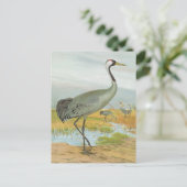 "Common Crane" Postkarte (Stehend Vorderseite)