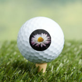 Common Daisy be6 gbcnm Golfball (Insitu T-Shirt)