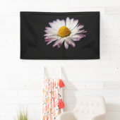 Common Daisy bnra Banner (Insitu)