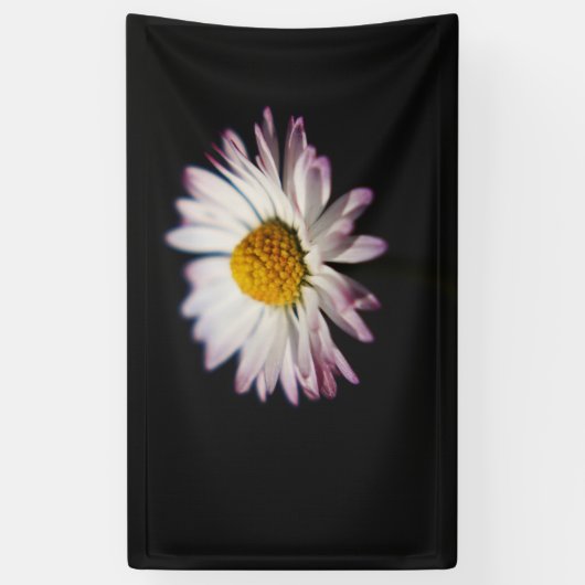 Common Daisy bnra Banner (Vertikal)