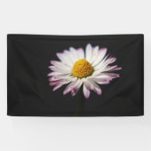 Common Daisy bnrcnm Banner (Horizontal)