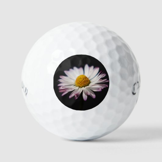Common Daisy css gbcna Golfball (Vorderseite)