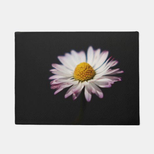 Common Daisy dmcna Fußmatte (Vorderseite)
