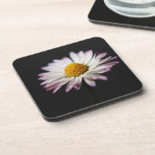 Common Daisy Küstenercna Getränkeuntersetzer (Linke Seite)