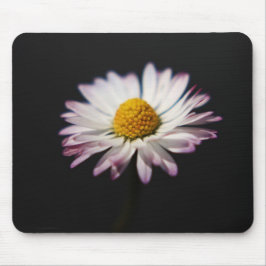 Common Daisy mpcna Mousepad