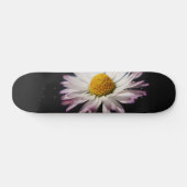 Common Daisy sdcna Skateboard (Horizontal)