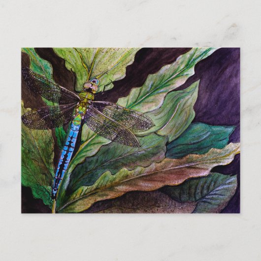 Common Darner Dragonfly Postkarte (Vorderseite)