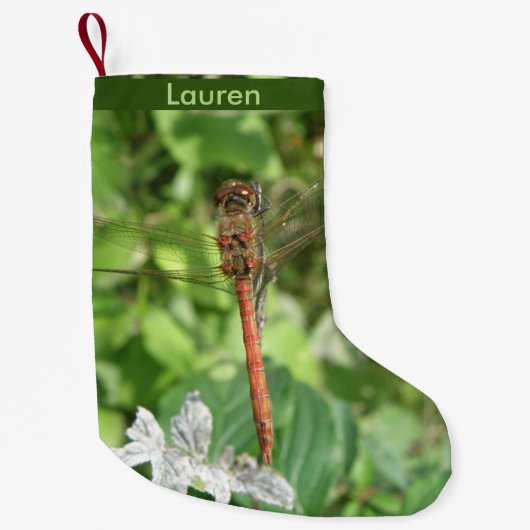 Common Darter Dragonfly Custom Christmas Strumpf Kleiner Weihnachtsstrumpf (Vorderseite)