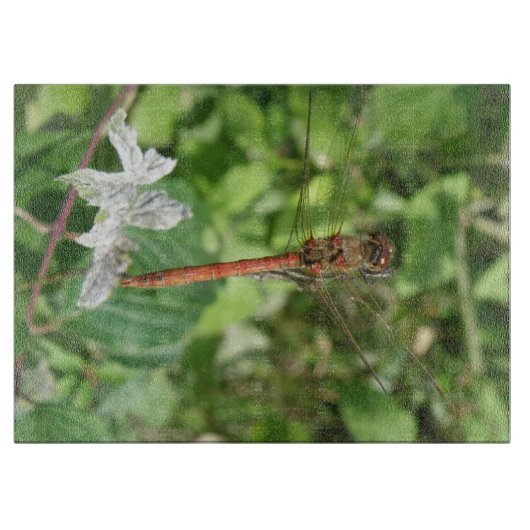 Common Darter Dragonfly Cutting Board Schneidebrett (Vorderseite)