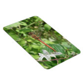 Common Darter Dragonfly Flexi Magnet (Rechte Seite)