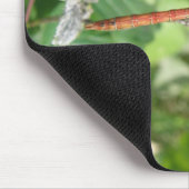 Common Darter Dragonfly Mousepad (Ecke)