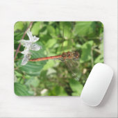 Common Darter Dragonfly Mousepad (Mit Mouse)