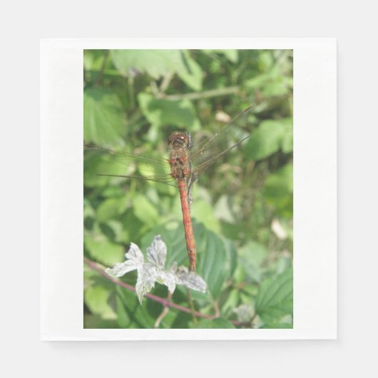 Common Darter Dragonfly Napkins Serviette (Vorderseite)