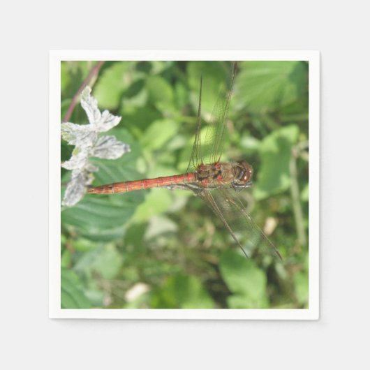 Common Darter Dragonfly Napkins Serviette (Vorderseite)