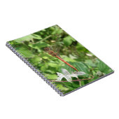 Common Darter Dragonfly-Notebook Notizblock (Rechte Seite)