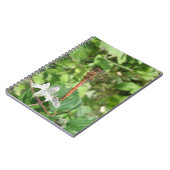 Common Darter Dragonfly-Notebook Notizblock (Linke Seite)