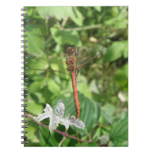 Common Darter Dragonfly-Notebook Notizblock