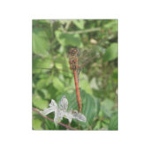 Common Darter Dragonfly Notepad Notizblock (Rotiert)