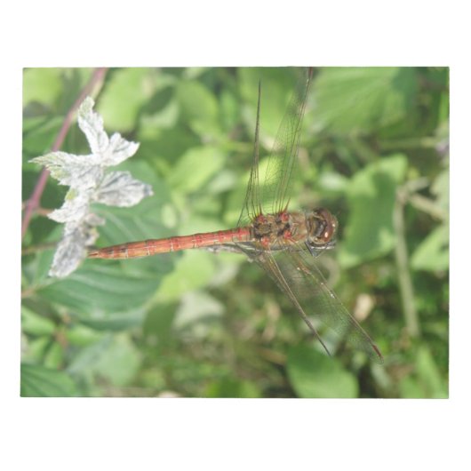 Common Darter Dragonfly Notepad Notizblock (Vorderseite)