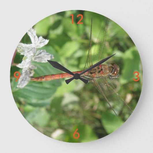Common Darter Dragonfly Wall Clock Große Wanduhr (Vorderseite)