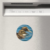Common Eider Magnet (In Situ (Geschirrspüler))