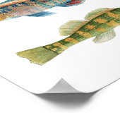 Common Freshwater Darters Poster (Ecke)