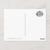 Common Garden Peony Postkarte (Rückseite)