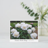 Common Garden Peony Postkarte (Stehend Vorderseite)