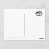 Common Garden Peony Postkarte (Rückseite)