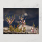 Common Heather Nature Photo Postkarte (Vorderseite)