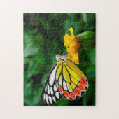 Common Jezebel Butterfly. Puzzle (Vertikal)