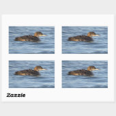 Common Loon Bird Stickers (Blatt)