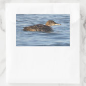 Common Loon Bird Stickers (Tasche)