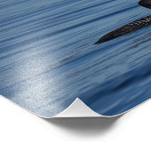 Common Loon, Guemes Island, WA Fotodruck (Ecke)