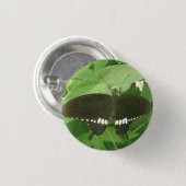 Common Mormon Butterfly Button (Vorne & Hinten)