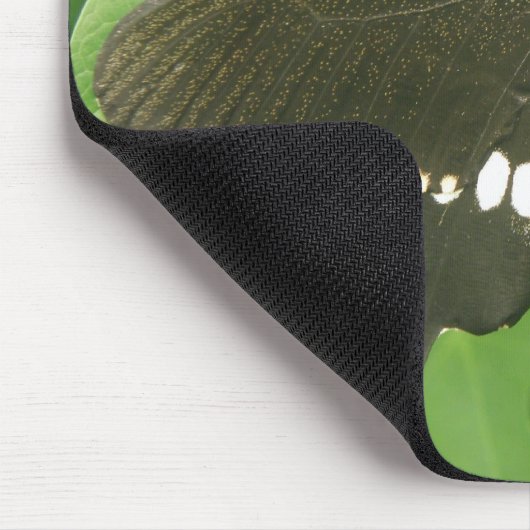 Common Mormon Butterfly Mousepad (Ecke)