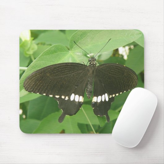 Common Mormon Butterfly Mousepad (Mit Mouse)