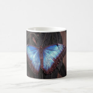 Common Morpho Butterfly Kaffeetasse