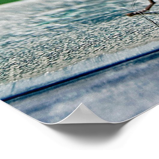 Common Morpho Butterfly Poster (Ecke)