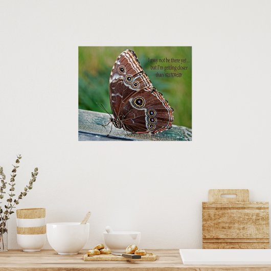 Common Morpho Butterfly Poster (Küche)