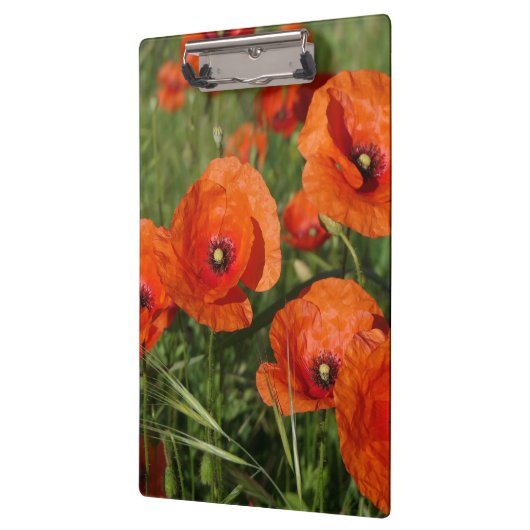 Common Poppies Klemmbrett (Links)