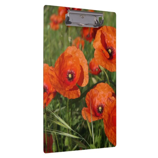 Common Poppies Klemmbrett (Rechts)