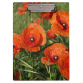 Common Poppies Klemmbrett (Vorderseite)