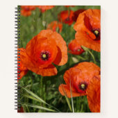 Common Poppies Notizblock (Vorderseite)