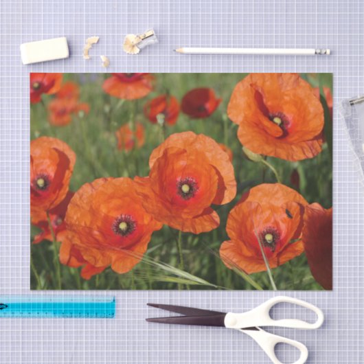 Common Poppies  Seidenpapier (Handwerk)