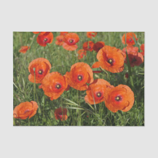 Common Poppies  Seidenpapier