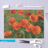 Common Poppies  Seidenpapier (Handwerk)