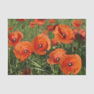 Common Poppies  Seidenpapier
