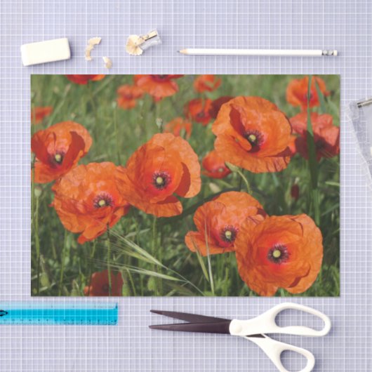 Common Poppies  Seidenpapier (Handwerk)